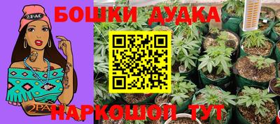 кокс Будённовск