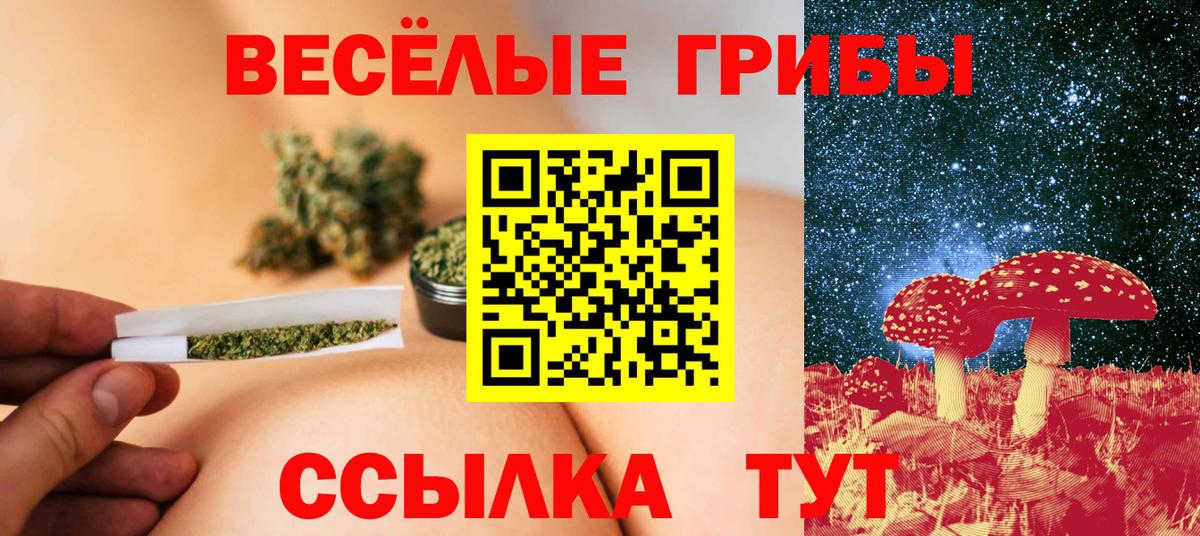 Псилоцибиновые грибы мицелий  Вход с VPN  Тельмана  Псилоцибиновые грибы MAGIC MUSHROOMS 