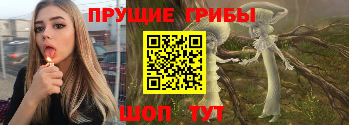Псилоцибиновые грибы MAGIC MUSHROOMS Тельмана