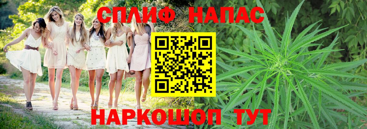 Каннабис планчик  Каннабис тримм  Шишки марихуана семена  Тельмана  Вход с VPN 